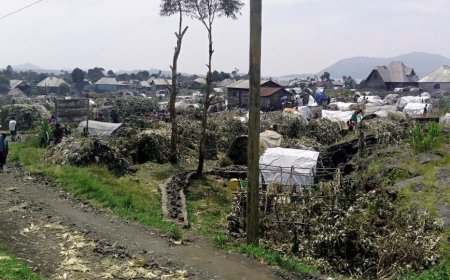 Nord-Kivu : Les FARDC reprennent le contrôle de Katoyi (Masisi)