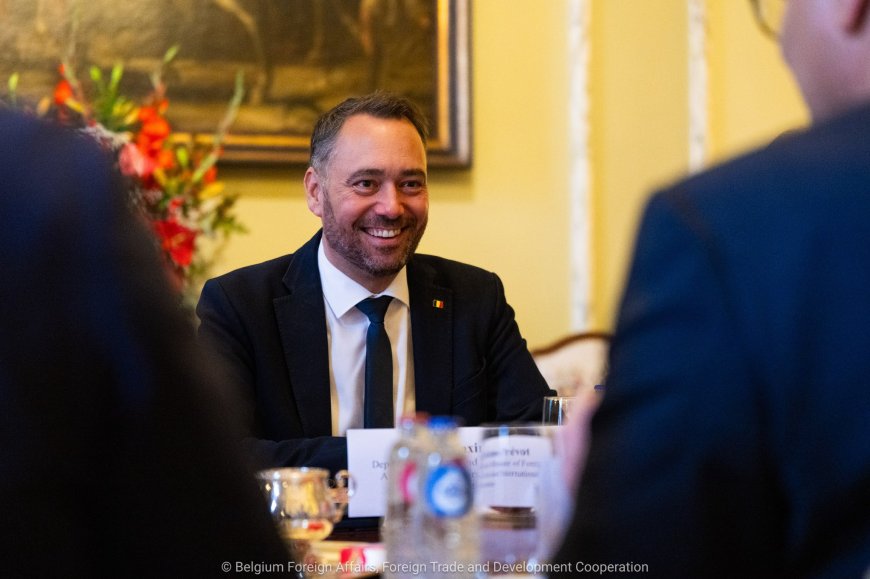 La Belgique préoccupée par l’arrestation de Ramazani Shadary