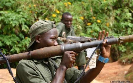 Guerre dans l’Est : les FARDC annoncent la neutralisation de 180 combattants RDF/M23-AFC lors des combats à Uvira et Fizi