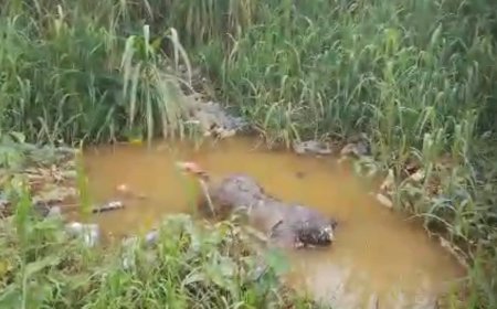 Kinshasa : le corps sans vie d’un homme découvert dans une rivière à Selembao