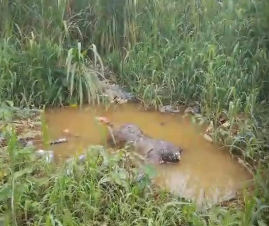 Kinshasa : le corps sans vie d’un homme découvert dans une rivière à Selembao