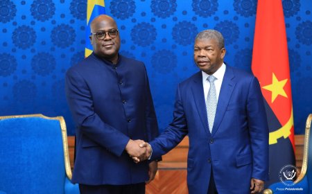 Félix Tshisekedi à Luanda pour un tête-à-tête avec João Lourenço, Faure Gnassingbé et Olusegun Obasanjo