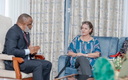 Guerre dans l’Est : la cheffe intérimaire de la MONUSCO et l’AFC/M23 échangent sur le mécanisme de suivi et de vérification du cessez-le-feu