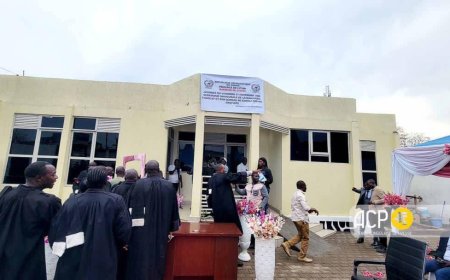 Ituri : un avocat copieusement molesté par un magistrat, le barreau suspend toute prestation des avocats à la Cour d’Appel