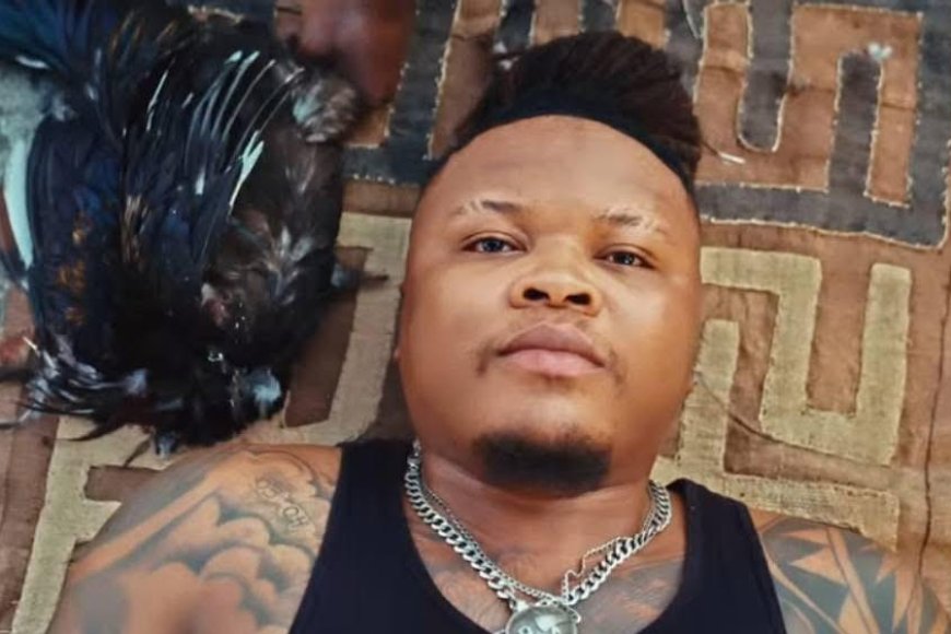 Zozo Machine ouvre une nouvelle ère avec « Kolo Coop »