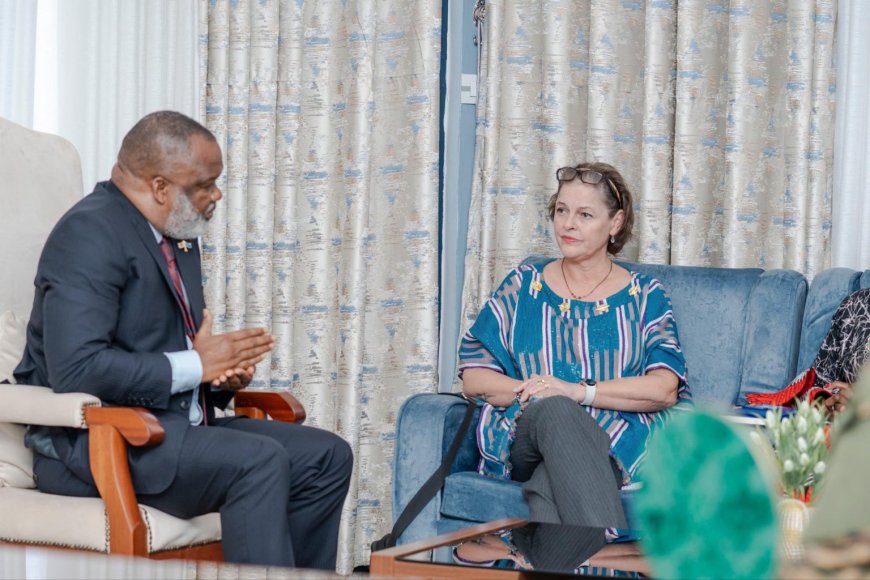 Guerre dans l’Est : la cheffe intérimaire de la MONUSCO et l’AFC/M23 échangent sur le mécanisme de suivi et de vérification du cessez-le-feu