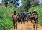 Guerre dans l’Est : les FARDC délogent le M23 de la position de Mukole (Walikale)