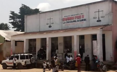 RDC : 3 avocats radiés du barreau du Sankuru pour manquements graves à l’éthique