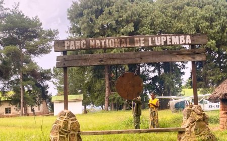 Haut-Katanga : 5 agents de l’ICCN tués lors d’une incursion des Maï-Maï au Parc d’Upemba