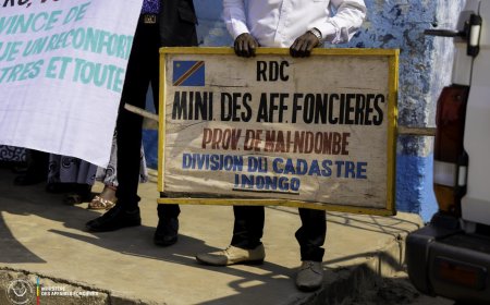 [Tribune] : « RDC : un pouvoir complice face aux spoliations foncières orchestrées au sein de l’administration », Armel Langanda