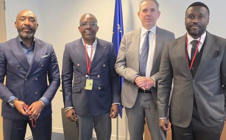 Le Cadre de Concertation des Forces Politiques et Sociales et le représentant spécial de l’Union européenne pour la région des Grands Lacs échangent sur la situation politique en RDC