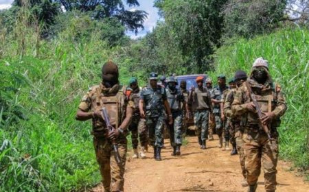 Guerre dans l’Est : les FARDC délogent le M23 de la position de Mukole (Walikale)