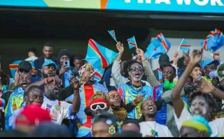 Un pont aérien Nairobi - Mexique bientôt ouvert pour offrir un soutien de taille aux léopards