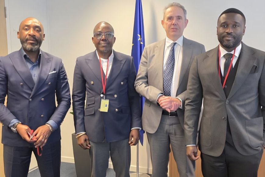 Le Cadre de Concertation des Forces Politiques et Sociales et le représentant spécial de l’Union européenne pour la région des Grands Lacs échangent sur la situation politique en RDC