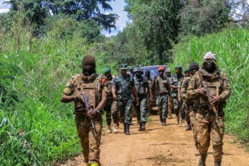 Guerre dans l’Est : les FARDC délogent le M23 de la position de Mukole (Walikale)
