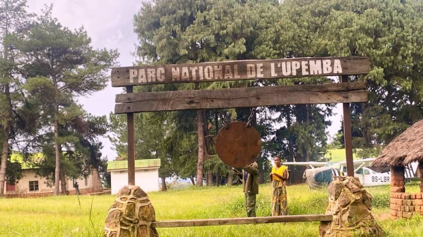 Haut-Katanga : 5 agents de l’ICCN tués lors d’une incursion des Maï-Maï au Parc d’Upemba