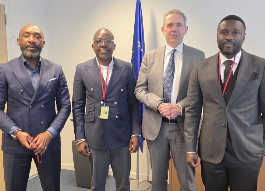 Le Cadre de Concertation des Forces Politiques et Sociales et le représentant spécial de l’Union européenne pour la région des Grands Lacs échangent sur la situation politique en RDC