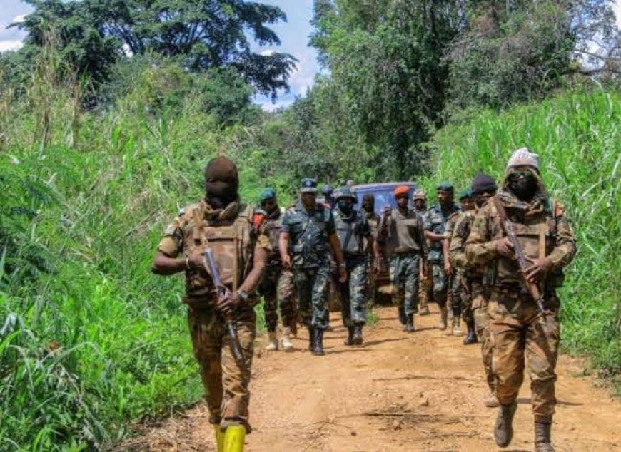Guerre dans l’Est : les FARDC délogent le M23 de la position de Mukole (Walikale)