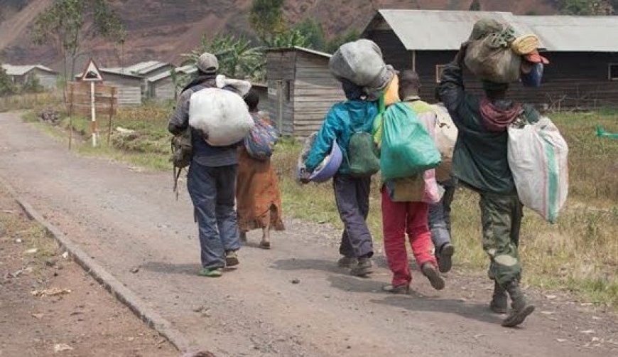 Les affrontements entre FARDC et M23 à Luvungi provoquent un déplacement massif vers Uvira