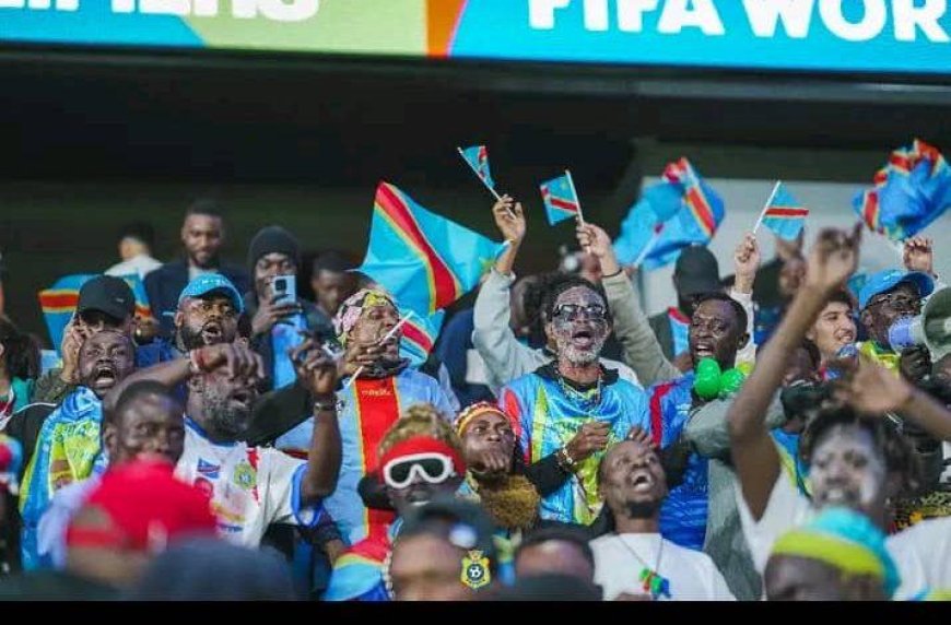 Un pont aérien Nairobi - Mexique bientôt ouvert pour offrir un soutien de taille aux léopards