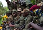 Walikale : 7 combattants du M23 neutralisés lors d’affrontements contre les FARDC dans les villages Minjenje et pont Nkingwe