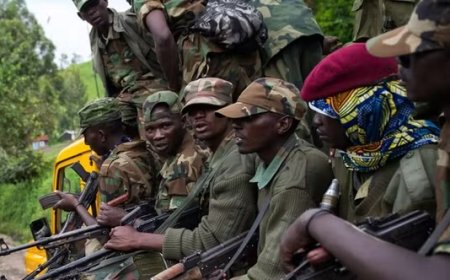 Walikale : 7 combattants du M23 neutralisés lors d’affrontements contre les FARDC dans les villages Minjenje et pont Nkingwe