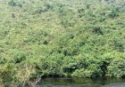 Kinshasa : 2 morts dans une attaque des Mobondo près de Grand Libulu (Maluku)