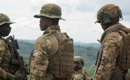 Sud-Kivu : les FARDC reprennent plusieurs positions suite au retrait de l'AFC-M23