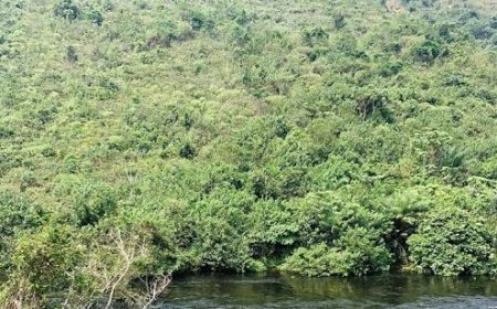 Kinshasa : 2 morts dans une attaque des Mobondo près de Grand Libulu (Maluku)