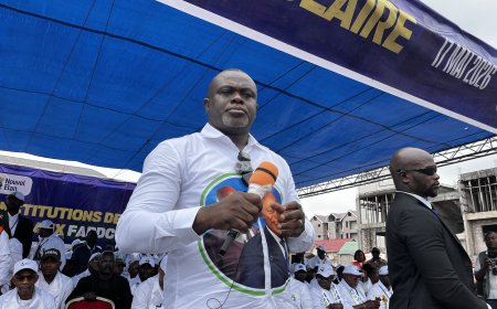 RDC : les faiblesses de la Constitution relevées par Nouvel Élan de Muzito