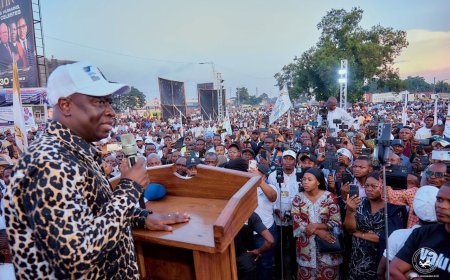 RDC : l’UDPS lance la « Coalition des Congolais pour le Changement de la Constitution » (C4)