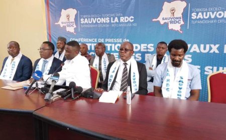 Révision constitutionnelle : le mouvement « Sauvons la RDC » soutient la démarche de la Coalition C64