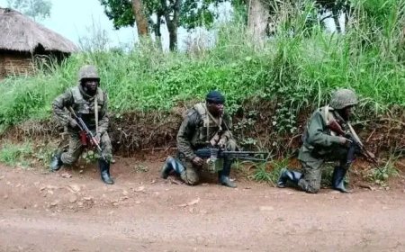 Nord-Kivu : le M23 repousse les FARDC à plus de 20 kilomètres de Rubaya et reprend Kasenyi, Kanyaru et Runigi