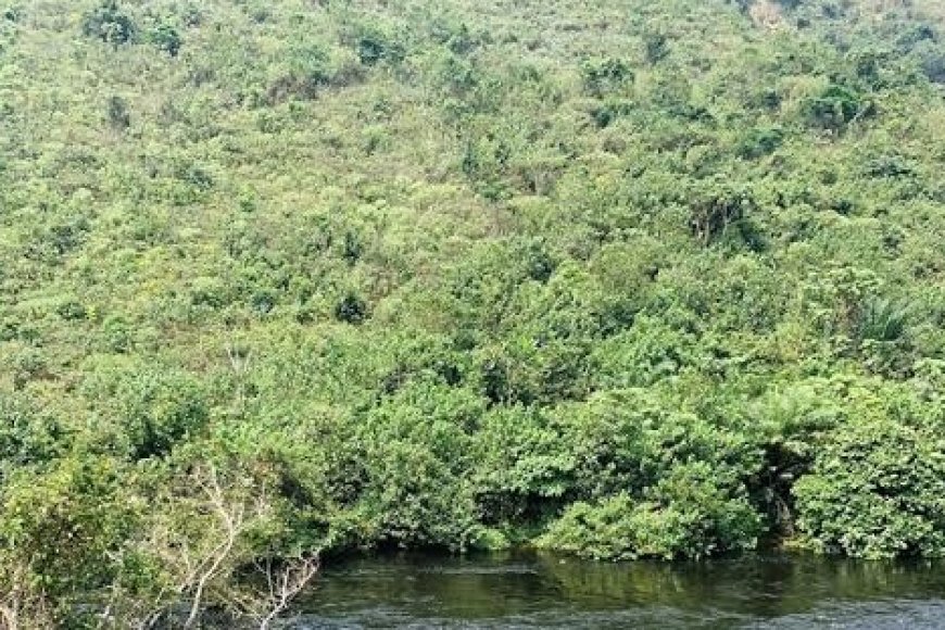 Kinshasa : 2 morts dans une attaque des Mobondo près de Grand Libulu (Maluku)