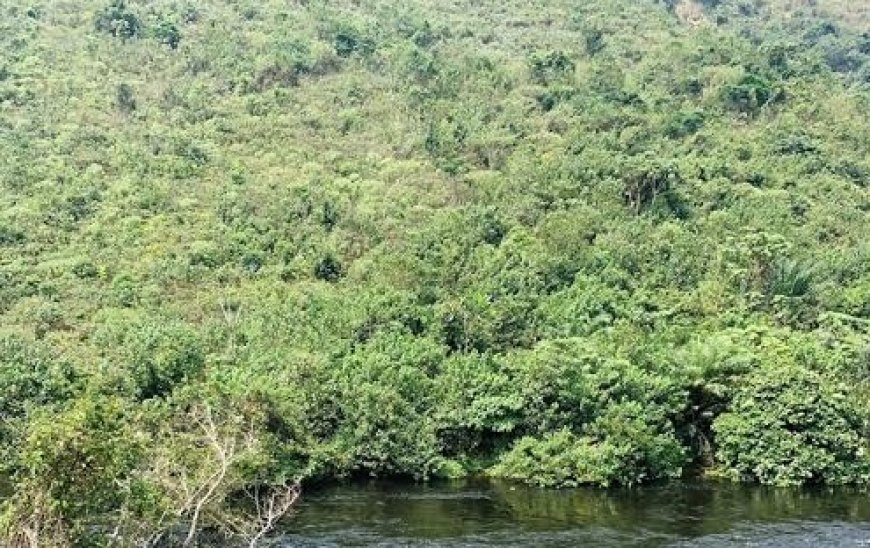 Kinshasa : 2 morts dans une attaque des Mobondo près de Grand Libulu (Maluku)