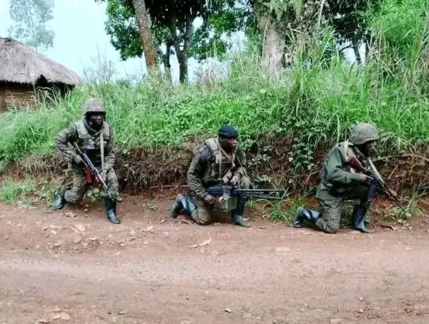Nord-Kivu : le M23 repousse les FARDC à plus de 20 kilomètres de Rubaya et reprend Kasenyi, Kanyaru et Runigi