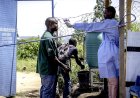 Ebola : l’OMS lance un essai clinique de deux antiviraux en RDC