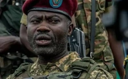 RDC : Les États-Unis sanctionnent deux responsables du renseignement des FDLR et du M23