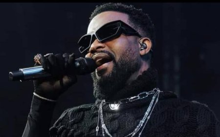 RDC : Fally Ipupa élevé au grade de Chevalier de l'Ordre national du Léopard pour ses « services éminemment rendus à la Nation »