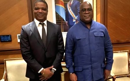 RDC : qui est Ted Beleshayi, le nouveau DG de l’ARSP ?