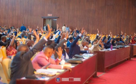 L’Assemblée nationale adopte la proposition de loi fixant les conditions d’organisation du référendum en RDC