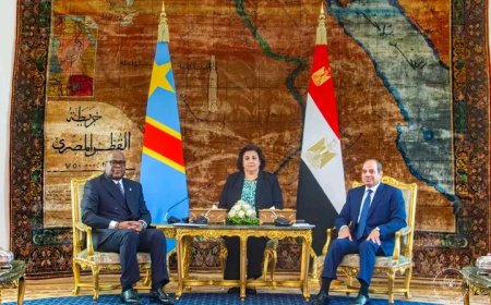 RDC - Égypte : Félix Tshisekedi et Abdel Fattah Al-Sissi signent plusieurs accords de coopération
