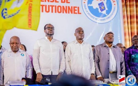 RDC : la Coalition Article 64 met en garde le Sénat contre l'adoption de la loi sur le référendum