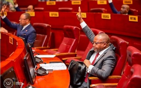 RDC : sans surprise, le Sénat adopte la proposition de loi sur le référendum, mais avec une modification