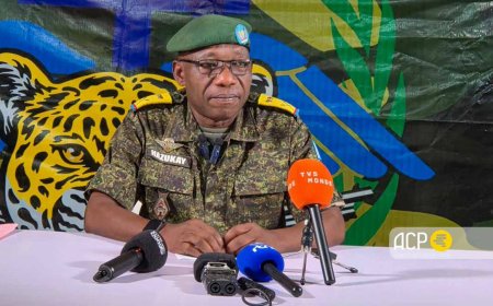 RDC : les FARDC dénoncent les « mensonges » de la coalition RDF-AFC/M23 pour masquer ses atrocités au Nord et au Sud-Kivu