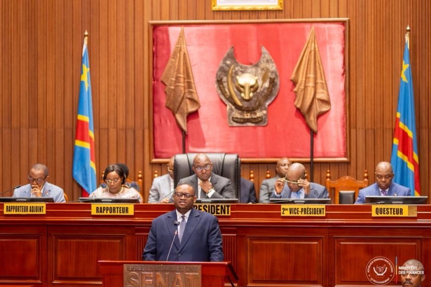 Finances : le projet de création de « la Bourse de Kinshasa » déclaré recevable au Sénat