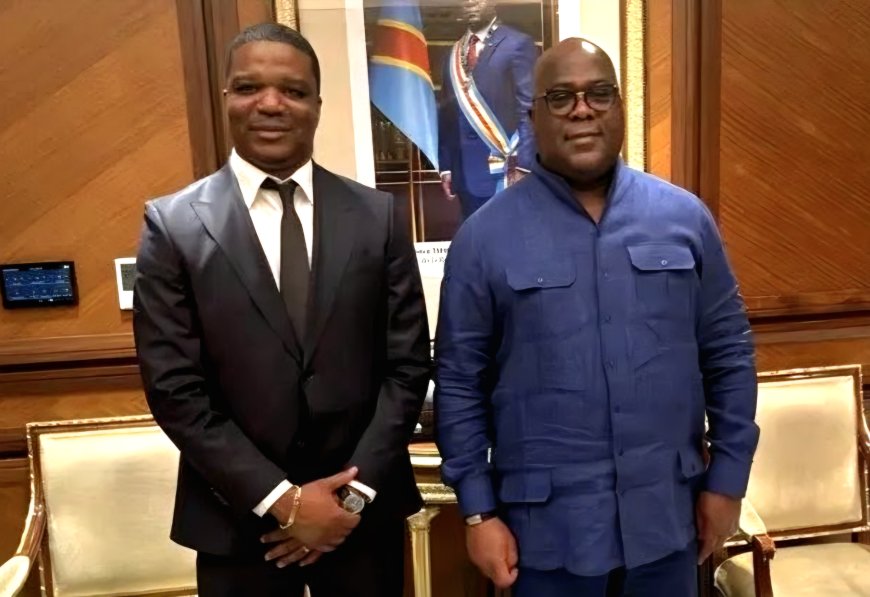 RDC : qui est Ted Beleshayi, le nouveau DG de l’ARSP ?