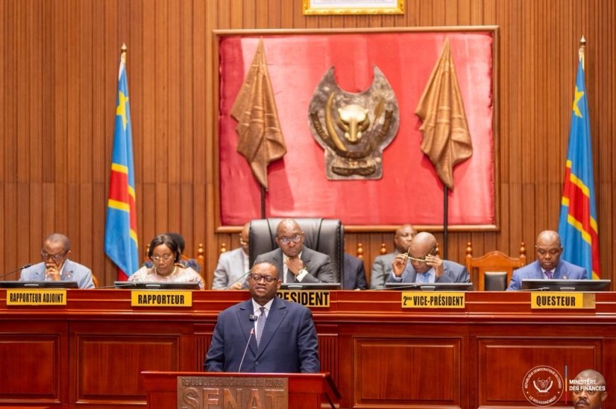 Finances : le projet de création de « la Bourse de Kinshasa » déclaré recevable au Sénat