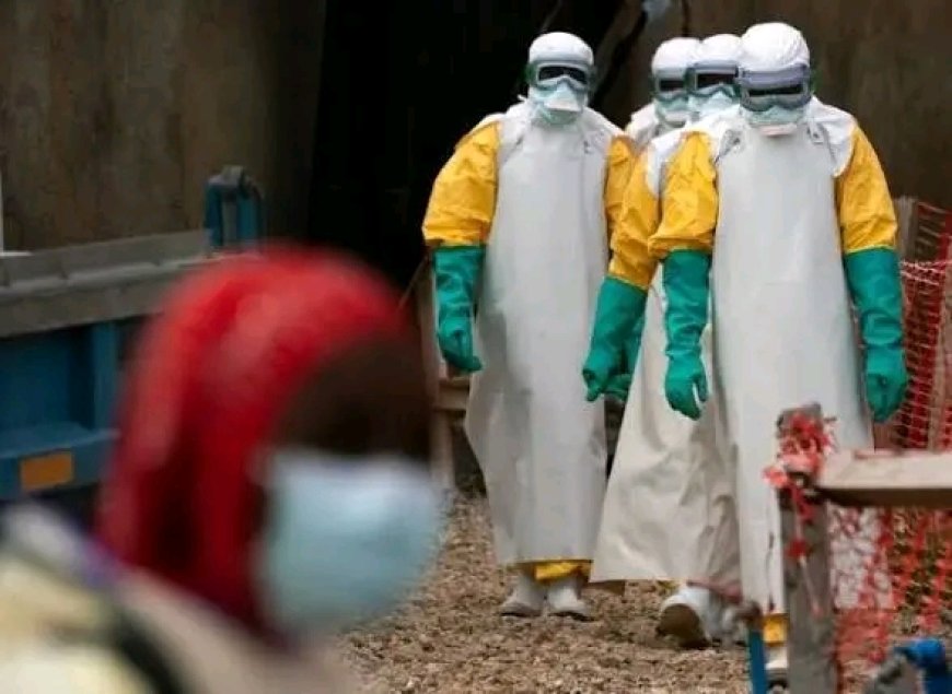 France : un premier cas d’Ebola détecté chez un médecin revenu de la RDC