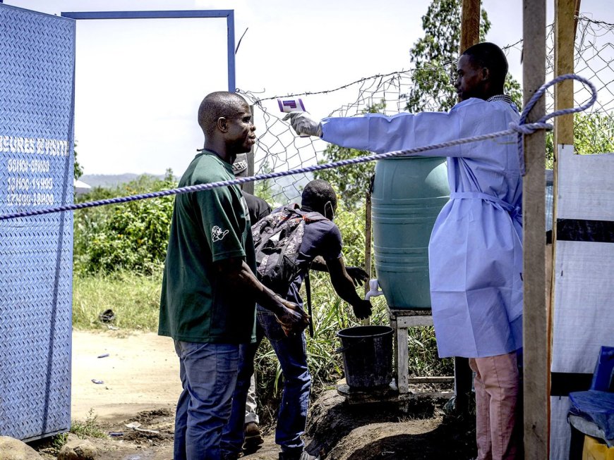 Ebola : l’OMS lance un essai clinique de deux antiviraux en RDC
